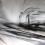 Carrera sw. 2007 | 300 x 150 cm | Acryl auf Leinwand