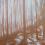 Schwarzwald. Waldstck 1. 2007 | 70 x 70 cm | Acryl auf Leinwand