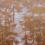 Schwarzwald. Waldstck 2. 2007 | 70 x 70 cm | Acryl auf Leinwand